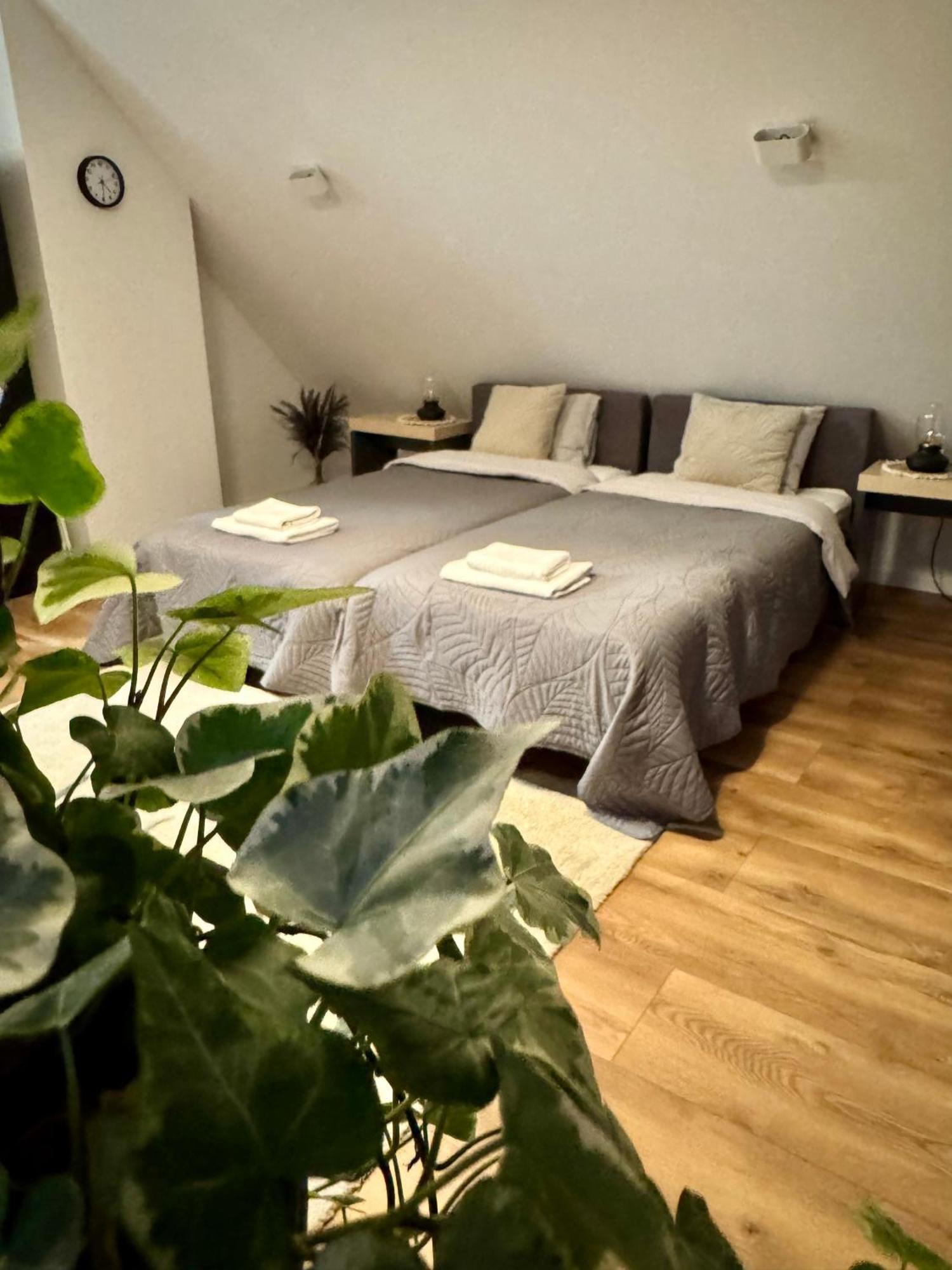 Apartamenty Astor - Ksiezycowy Szczawno-Zdroj Zewnętrze zdjęcie